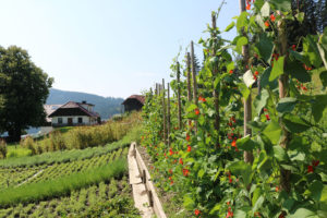 Pretterer Kraeutergarten